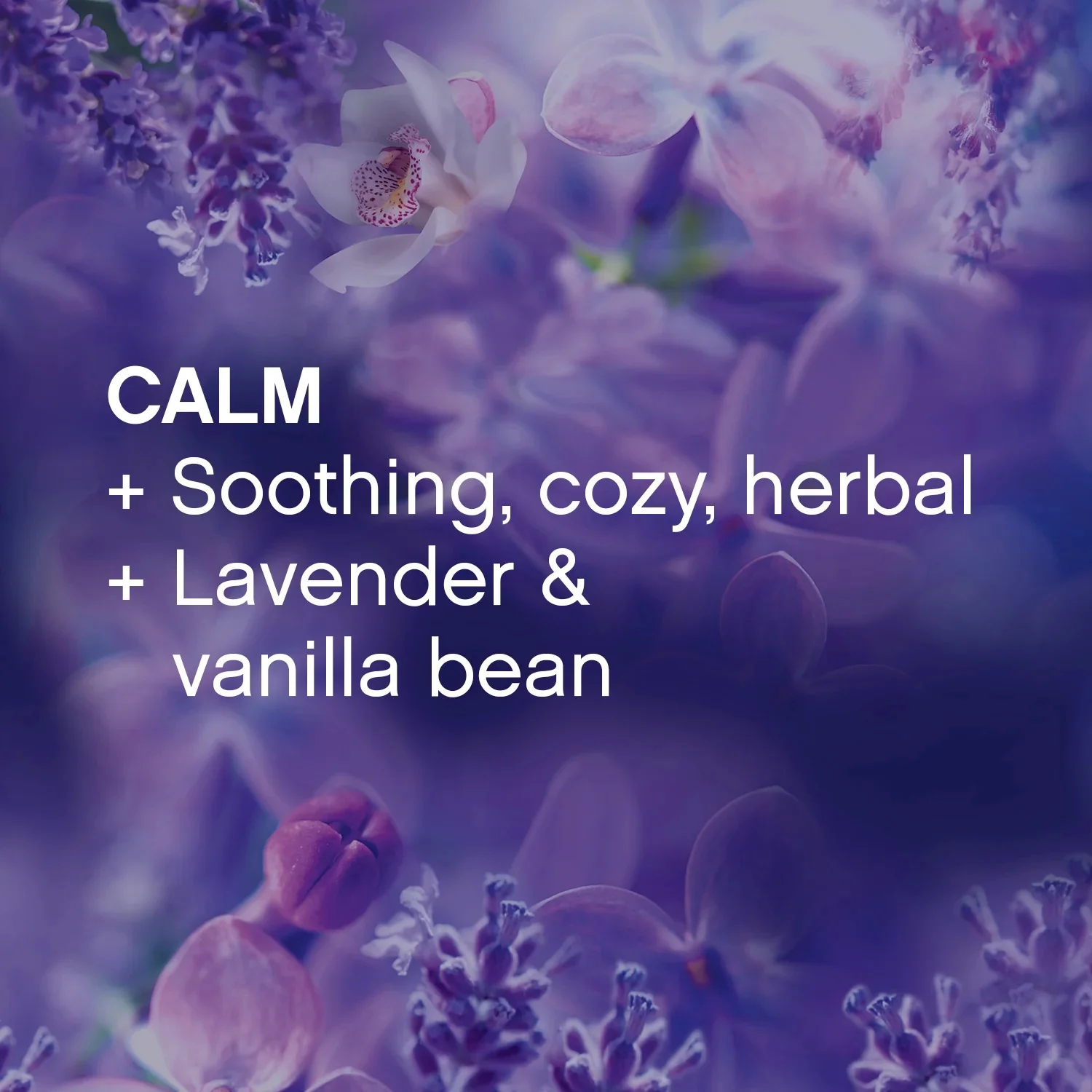 Downy Infusions, Calm Lavender I 83 Loads Liquid Fabric Softener I 56oz (1.65L) - Image 6