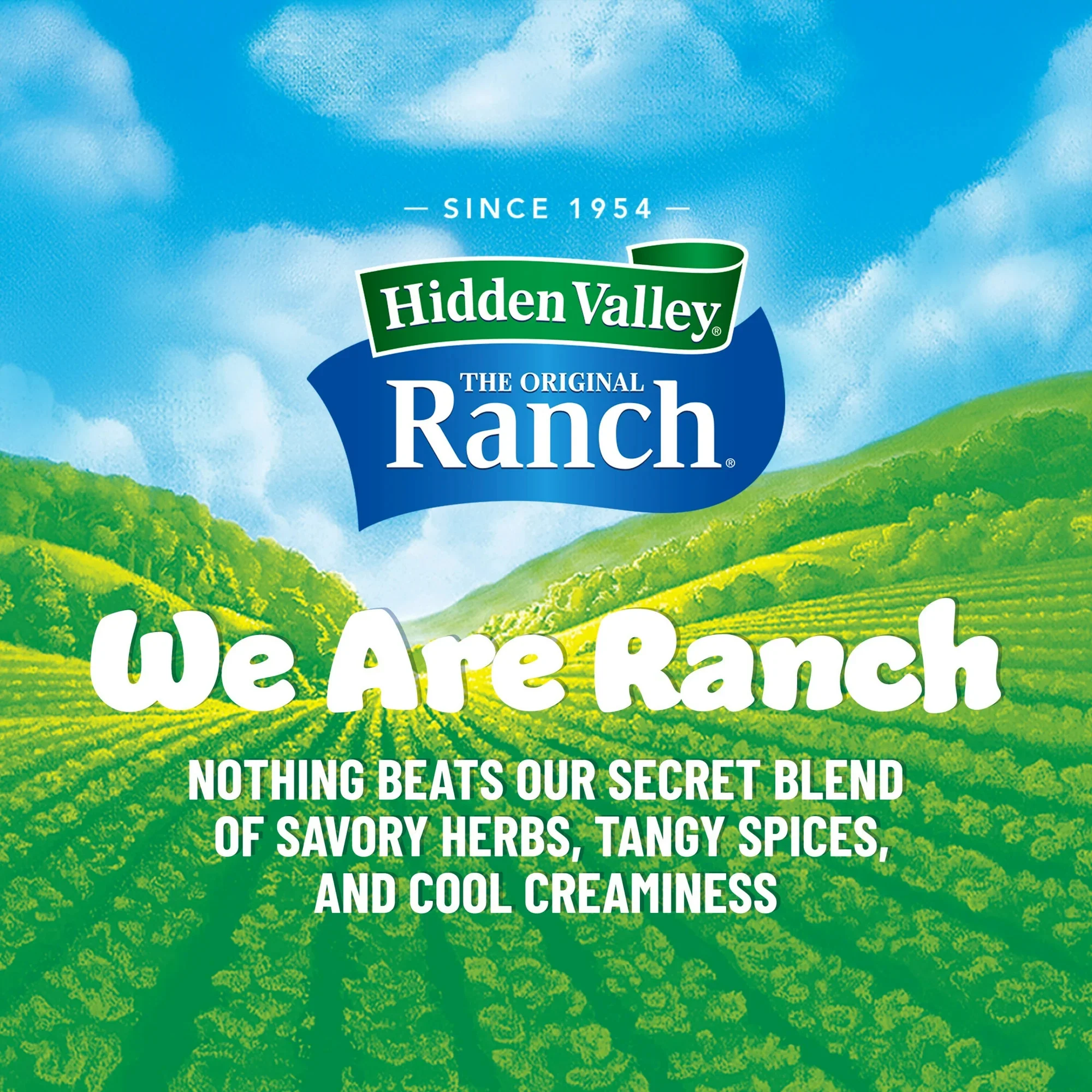 Hidden Valley Gluten Free Spicy Ranch Salad Dressing and Topping 16oz (473ml) - Image 5