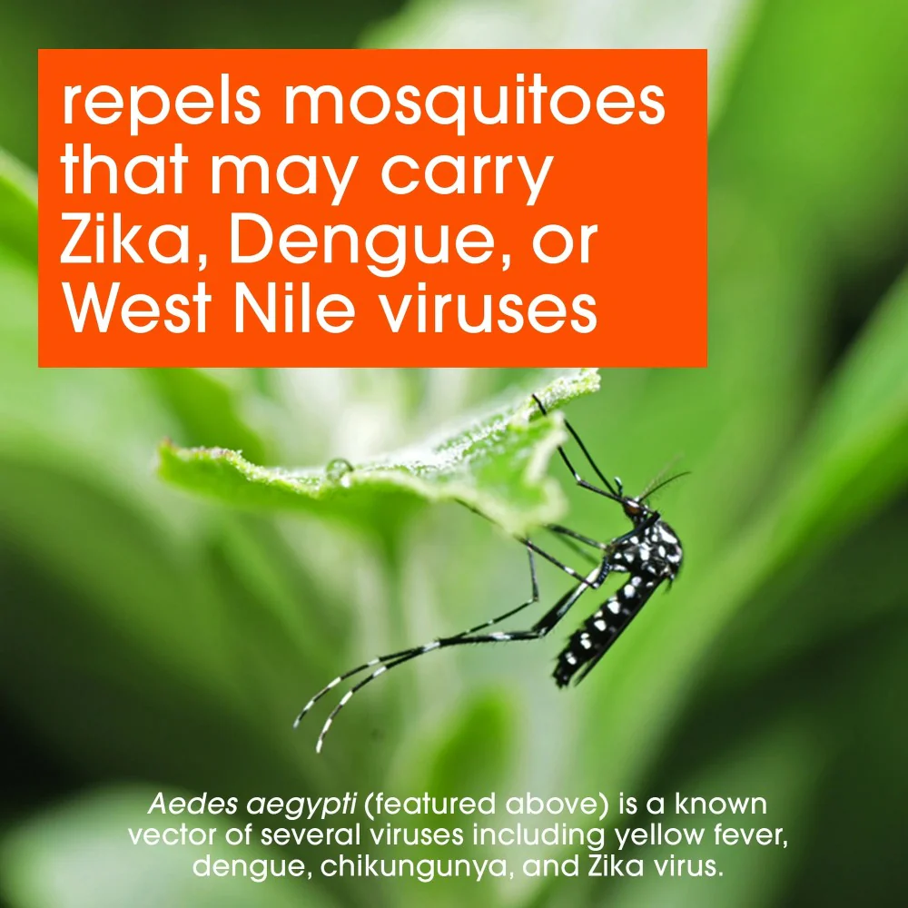 Off! Deep Woods Insect Repellent VII 6oz (177ml) - Image 2