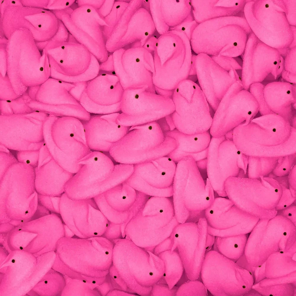 Peeps Easter Pink Chicks Marshmallow 1.5oz (43g) - Image 4